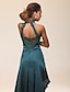 cheap Special Occasion Dresses-Sheath / Column Celebrity Style High Low See Through Cocktail Party Formal Evening Dress Halter Neck High Neck Sleeveless Asymmetrical Floor Length Stretch Satin Satin Chiffon with Appliques Bandage