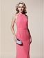 Χαμηλού Κόστους Φορέματα ειδικών περιστάσεων-Ίσια Γραμμή Δένει στο Λαιμό Μακρύ Σιφόν Φόρεμα με Πούλιες / Πλισέ με TS Couture®