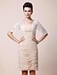 cheap Mother of the Bride Dresses-Sheath / Column Mother of the Bride Dress See Through Square Neck Knee Length Chiffon Lace Half Sleeve with Lace Ruched Draping 2021 / Illusion Sleeve