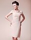 abordables Vestidos de madrina-Sheath / Column Mother of the Bride Dress Scoop Neck Knee Length Chiffon Short Sleeve No with Beading Side Draping 2024