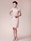 cheap Mother of the Bride Dresses-Sheath / Column Mother of the Bride Dress Scoop Neck Knee Length Chiffon Short Sleeve No with Beading Side Draping 2024