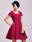 Недорогие Распродажа TS® - скидки до 80%-Пурпурный Платье - С короткими рукавами Лето Пурпурный