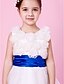 cheap Flower Girl Dresses-A-Line / Princess Floor Length Flower Girl Dress - Organza / Satin Sleeveless Jewel Neck with Bow(s) / Sash / Ribbon / Flower by LAN TING BRIDE®