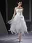 Χαμηλού Κόστους Φορέματα για Ειδικές Περιστάσεις-Αίθουσα Φορεματα για γαμο Γραμμή Α Καρδιά Στράπλες Αμάνικο Ασύμμετρο Οργάντζα Νυφικά φορέματα Με Φούστα με πιασίματα 2024