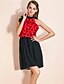 cheap TS Dresses-Black Dress - Sleeveless Summer Vintage Black Red