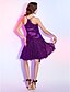 billige Klänningar till speciella tillfällen-Ball Gown Open Back Dress Cocktail Party Knee Length Sleeveless Spaghetti Strap Lace with Sash / Ribbon Ruffles 2024