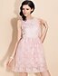 cheap TS Dresses-TS Floral Lace Organza Princess Dress