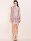 cheap TS Dresses-TS Beaded Net Tulle Dress