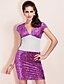 cheap TS Dresses-Purple Dress - Short Sleeve Summer Purple