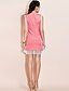 cheap TS Dresses-Pink Dress - Sleeveless Winter Vintage Pink