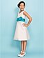 cheap Junior Bridesmaid Dresses-A-Line / Sheath / Column V Neck Knee Length Taffeta Junior Bridesmaid Dress with Sash / Ribbon / Side Draping / Flower / Spring / Summer / Fall / Apple / Hourglass