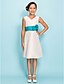 cheap Junior Bridesmaid Dresses-A-Line / Sheath / Column V Neck Knee Length Taffeta Junior Bridesmaid Dress with Sash / Ribbon / Side Draping / Flower / Spring / Summer / Fall / Apple / Hourglass