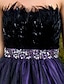 cheap Evening Dresses-Ball Gown Elegant Dress Prom Formal Evening Floor Length Sleeveless Strapless Tulle with Feathers / Fur Beading 2024