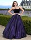 cheap Evening Dresses-Ball Gown Elegant Dress Prom Formal Evening Floor Length Sleeveless Strapless Tulle with Feathers / Fur Beading 2024