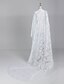 cheap Hoods &amp; Ponchos-Extra Long Sleeveless Lace Wedding/Evening Jacket/Wraps (More Colors)