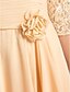 billige Kjoler til brudens mor-A-linje Kjole til brudens mor Smuk ryg Lige hals Gulvlang Chiffon Blondelukning Halvlange ærmer med Krøllede Folder Drapering Blomst 2023