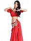 cheap Belly Dancewear-Dancewear Chiffon and Velvet Belly Dance Outfit For Ladies More Colors