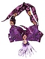 economico Abbigliamento danza del ventre-Paillettes Discoteca e Crystal con nappe Belly Dance Top per le signore colori più