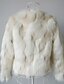 voordelige Dames bont &amp; leer-Lange mouw faux fur kraag Casual / Party Jacket