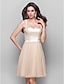 Χαμηλού Κόστους Κοκτέιλ Φορέματα-Γραμμή Α χαριτωμένο στυλ Φόρεμα Καλωσόρισμα Κοκτέιλ Πάρτι Μέχρι το γόνατο Αμάνικο Λαιμόκοψη V Σιφόν με Ζώνη / Κορδέλα 2023