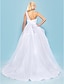 זול שמלות כלה-אולם שמלות חתונה נשף כתפיה אחת ללא שרוולים שובל קורט טול שמלות כלה עם פפיון סרט 2024