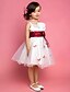 cheap Flower Girl Dresses-Princess / A-Line Knee Length First Communion / Wedding Party Satin / Tulle Sleeveless Straps with Sash / Ribbon / Draping / Flower / Spring / Summer / Fall / Winter