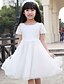 cheap Flower Girl Dresses-Princess Knee Length Flower Girl Dress First Communion Cute Prom Dress Tulle with Lace Fit 3-16 Years