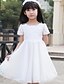 cheap Flower Girl Dresses-Princess Knee Length Flower Girl Dress First Communion Cute Prom Dress Tulle with Lace Fit 3-16 Years