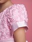 cheap Cufflinks-A-Line Ball Gown Princess Knee Length Flower Girl Dress - Polyester Tulle Short Sleeves Scoop Neck with Bow(s) Sash / Ribbon Pleats by