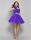 cheap Special Occasion Dresses-A-Line One Shoulder Short / Mini Tulle Homecoming / Prom Dress with Crystals / Ruched by TS Couture®