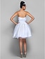 cheap Special Occasion Dresses-Ball Gown Dress Holiday Homecoming Knee Length Sleeveless Sweetheart Organza with Criss Cross 2023