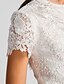 cheap Cocktail Dresses-A-Line Cute Dress Homecoming Cocktail Party Knee Length Short Sleeve Jewel Neck Lace with Lace Crystal Brooch 2023