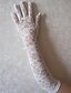 cheap Party Gloves-Elbow Length Fingertips Glove Lace Bridal Gloves Party/ Evening Gloves Spring Summer Fall Winter