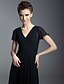 cheap Special Occasion Dresses-Sheath / Column V Neck Floor Length Chiffon Dress with Draping / Ruched by TS Couture®