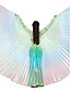 cheap Dance Accessories-Belly Dance Isis Wings Women&#039;s Training Polyester / Performance