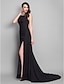cheap Evening Dresses-Ball Gown Open Back Dress Formal Evening Military Ball Sweep / Brush Train Sleeveless Scoop Neck Chiffon with Pleats Split Front 2023