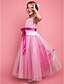 cheap Flower Girl Dresses-Princess / A-Line Floor Length Lace Sleeveless Jewel Neck with Sash / Ribbon / Bow(s)