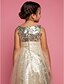 お買い得  子供用ドレス-プリンセス セミロング丈 フラワーガールドレス かわいいウエディング ドレス チュール ととも​​に フリル フィット 3-16 歳