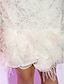 cheap Cocktail Dresses-Sheath / Column Cute Homecoming Cocktail Party Dress Illusion Neck Short Sleeve Short / Mini All Over Lace with Feathers / Fur 2022