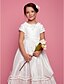 cheap Flower Girl Dresses-A-Line / Princess Tea Length Flower Girl Dress - Taffeta Short Sleeve Jewel Neck with Sash / Ribbon / Ruffles / Flower by LAN TING BRIDE®