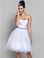 cheap Special Occasion Dresses-Ball Gown Dress Holiday Homecoming Knee Length Sleeveless Sweetheart Organza with Criss Cross 2023