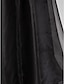 זול שמלות במידות גדולות (פלאס סייז)-שמלה שחורה בקו נשף רשמי באורך רצפת ערב ללא שרוולים אורגנזה מתוקה עם חרוזים מרופטים 2024