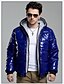 cheap Men&#039;s Downs &amp; Parkas-YNK Men&#039;s Warm Glossy Thicken Double Zippers Hoodie(Blue)