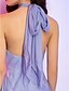 Χαμηλού Κόστους Φορέματα ειδικών περιστάσεων-Γραμμή Α χαριτωμένο στυλ Αργίες Καλωσόρισμα Κοκτέιλ Πάρτι Φόρεμα Δένει στο Λαιμό Αμάνικο Μέχρι το γόνατο Σιφόν με Κρυστάλλινη καρφίτσα 2022