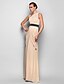 billiga Klänningar för speciella tillfällen-Sheath / Column One Shoulder Floor Length Chiffon Dress with Side Draping / Criss Cross by TS Couture®