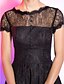 cheap Special Occasion Dresses-A-Line / Fit &amp; Flare Illusion Neck Knee Length Lace Dress with Buttons / Draping by TS Couture®