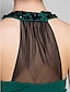Χαμηλού Κόστους Φορέματα για Ειδικές Περιστάσεις-Ίσια Γραμμή Illusion Seckline Μακρύ Σιφόν / Ζέρσεϊ Κοκτέιλ Πάρτι / Επίσημο Βραδινό Φόρεμα με Πλαϊνό ντραπέ / Κρυστάλλινη καρφίτσα με TS Couture®