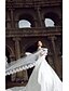 cheap Wedding Veils-One-tier Lace Applique Edge Wedding Veil Cathedral Veils with 196.85 in (500cm) Tulle A-line, Ball Gown, Princess, Sheath / Column, Trumpet / Mermaid