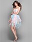 cheap Special Occasion Dresses-A-Line / Princess Strapless Knee Length Lace / Tulle Cocktail Party / Prom Dress with Embroidery by TS Couture® / Color Gradient