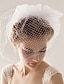 cheap Wedding Veils-Party / Party / Evening Party Accessories Blusher Veils / Accessory / Brooches &amp; Pins Material Classic Theme / Holiday
